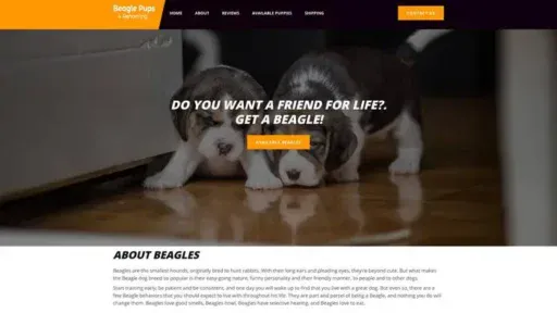 Screenshot of