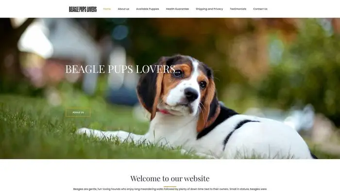 Screenshot of
