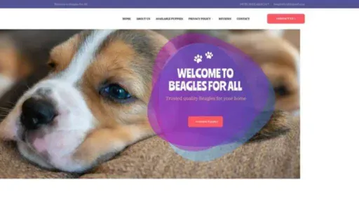 Screenshot of||
