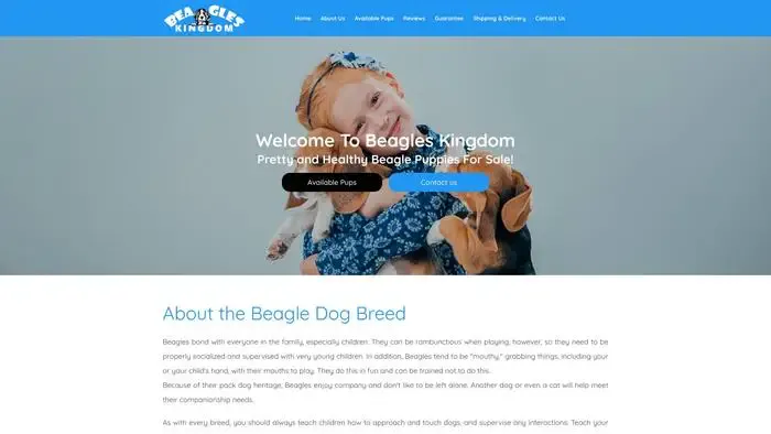 Screenshot of