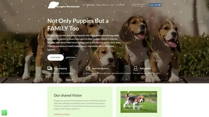 Screenshot of