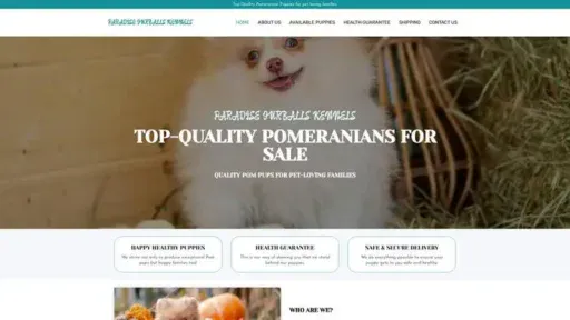 Screenshot of