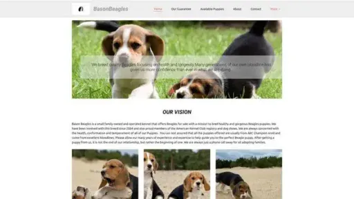 Screenshot of