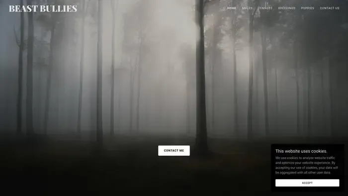 Screenshot of