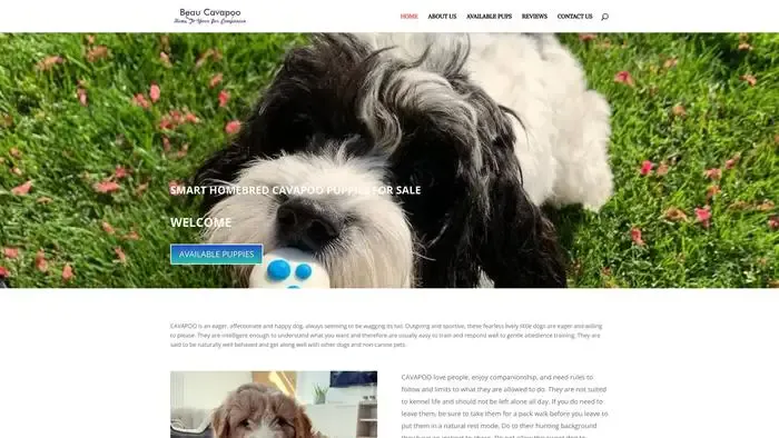 Screenshot of