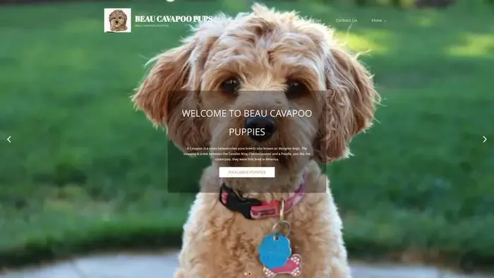 Screenshot of