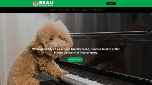 Screenshot of