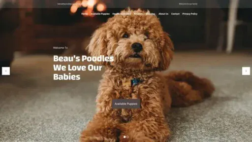 Screenshot of