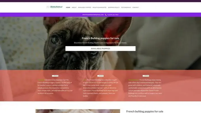 Screenshot of