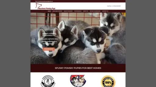 Screenshot of