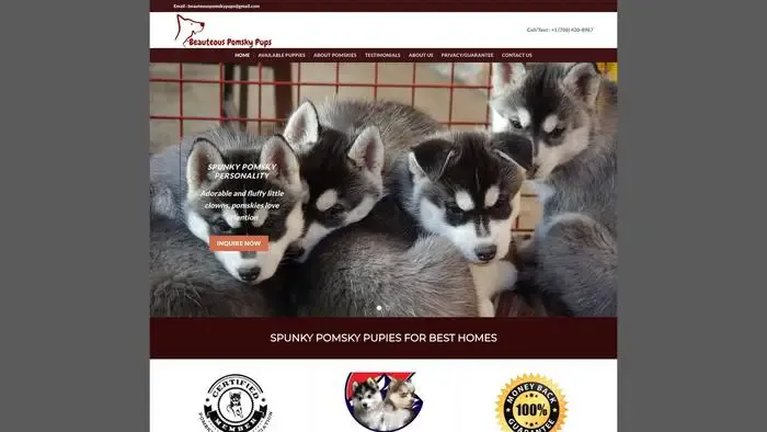 Screenshot of