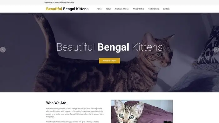 Screenshot of