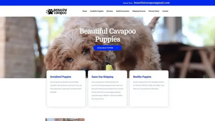 Screenshot of