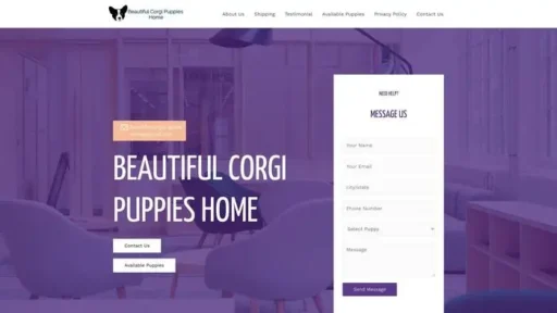 Screenshot of