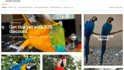Screenshot of
