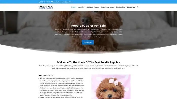 Screenshot of