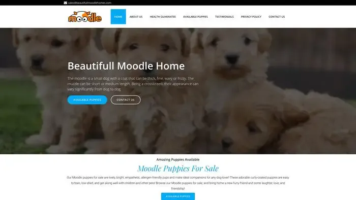 Screenshot of