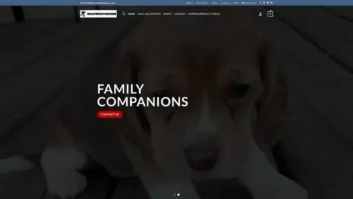 Screenshot of