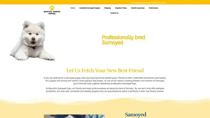 Screenshot of