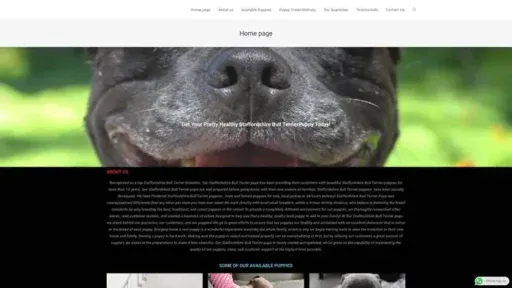 Screenshot of