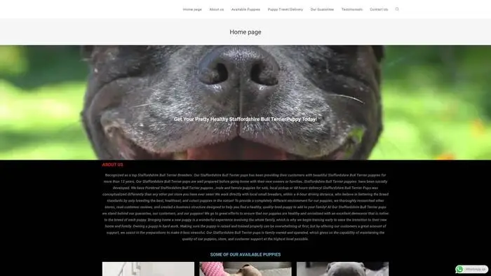 Screenshot of