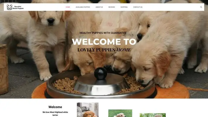 Screenshot of