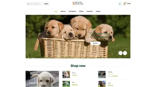 Screenshot of