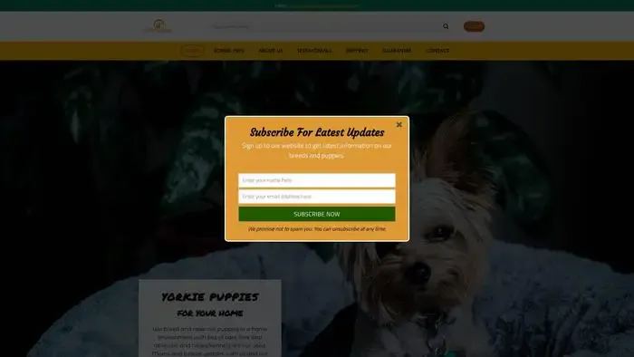 Screenshot of