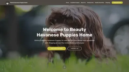 Screenshot of
