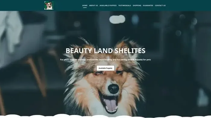 Screenshot of