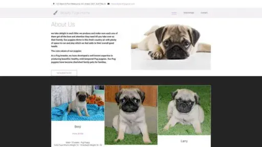 Screenshot of