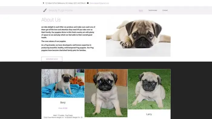 Screenshot of