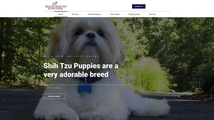 Screenshot of