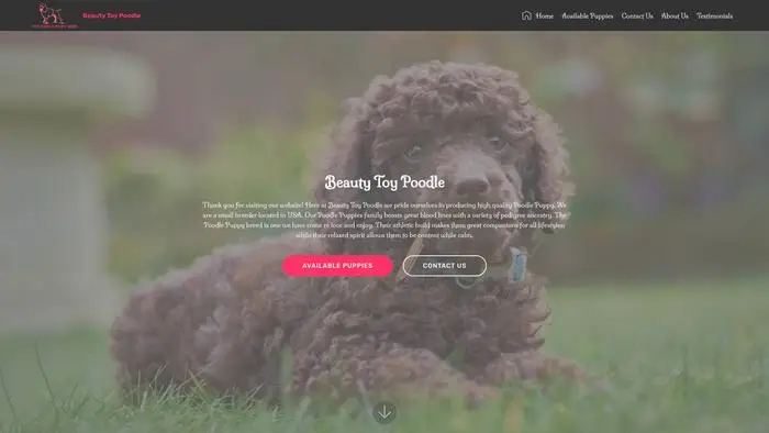 Screenshot of