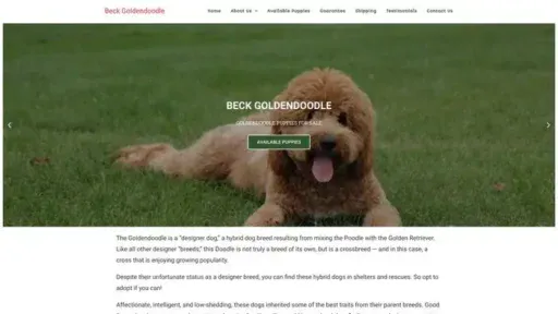 Screenshot of