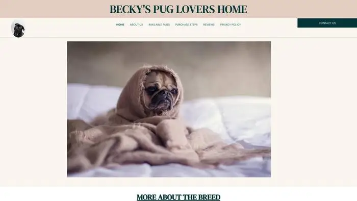 Screenshot of