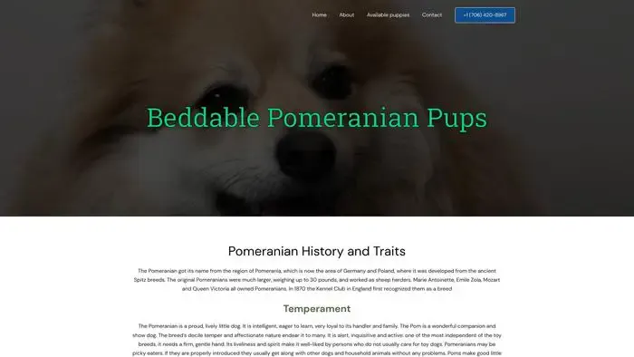 Screenshot of