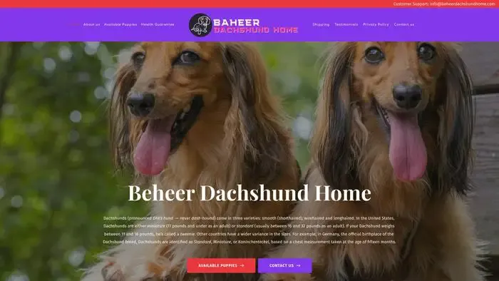 Screenshot of
