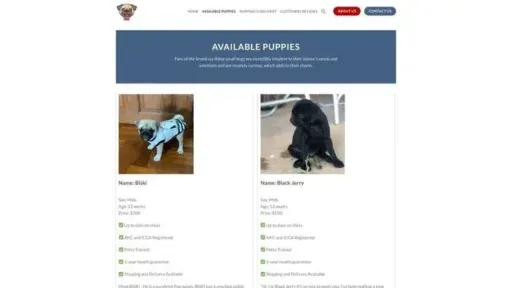 Screenshot of