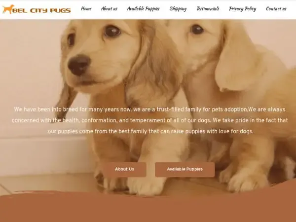 Screenshot of