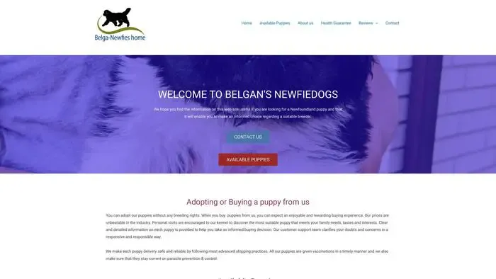 Screenshot of