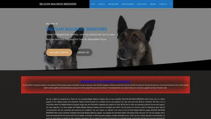 Screenshot of