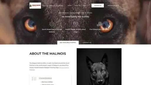 Screenshot of