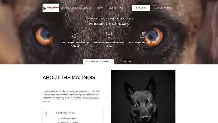 Screenshot of