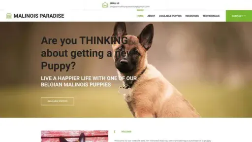 Screenshot of