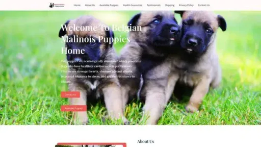Screenshot of
