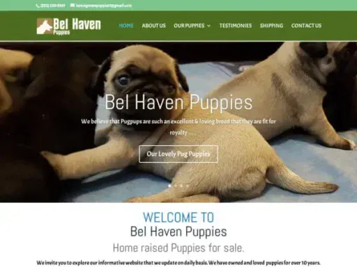 Screenshot of