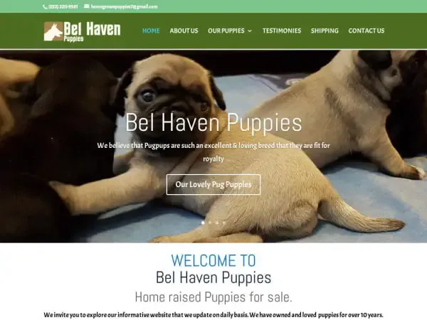 Screenshot of