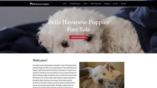 Screenshot of