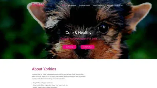 Screenshot of